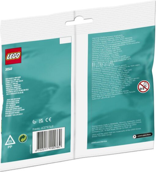 LEGO® Recruitment Bags 30560 Ananas Fotohalter & Mini-Tafel1