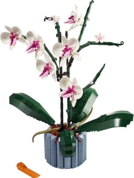 LEGO® Icons 10311 Orchidee2