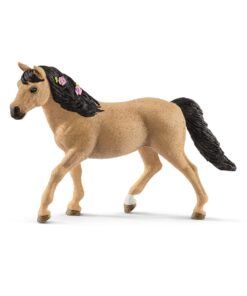Connemara Pony Stute