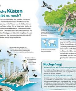 Das Meer1