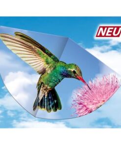 Guenther-Kinderdrachen-Kolibri
