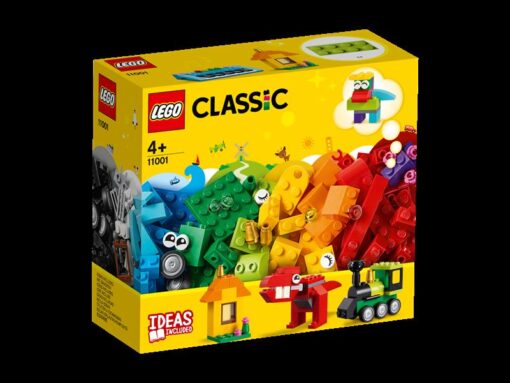LEGO Bausteine-Erster-Bauspass