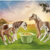 PLAYMOBIL® 71000 2 Island Ponys mit Fohlen