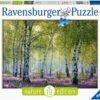 Ravensburger Puzzle Birkenwald, 1000 Teile
