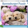 Ravensburger XXL Puzzle Süße Hunde im Körbchen, 300 Teile
