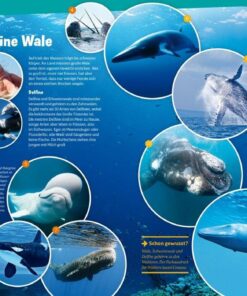 Wale und Delfine, Band 853