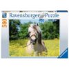 Ravensburger-Puzzle-Pferd-im-Rapsfeld-500-Teile.jpeg