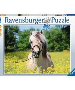 Ravensburger-Puzzle-Pferd-im-Rapsfeld-500-Teile.jpeg