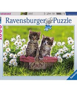 Ravensburger-Puzzle-Picknick-auf-der-Wiese-1000-Teile.jpeg