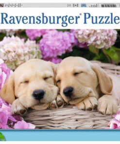 Ravensburger XXL Puzzle Süße Hunde im Körbchen, 300 Teile