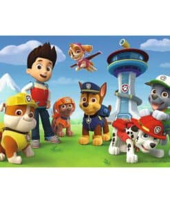 TR54163_2-4_Trefl Mini Puzzle Paw Patrol