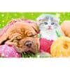 TR54172_2-4_Trefl Mini Puzzle Tierbabys Welpen Katzenbabys