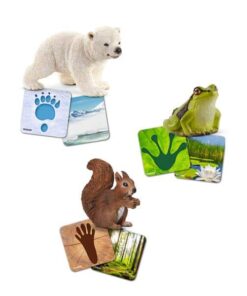 schleich-lernkarten2-schleich.jpg